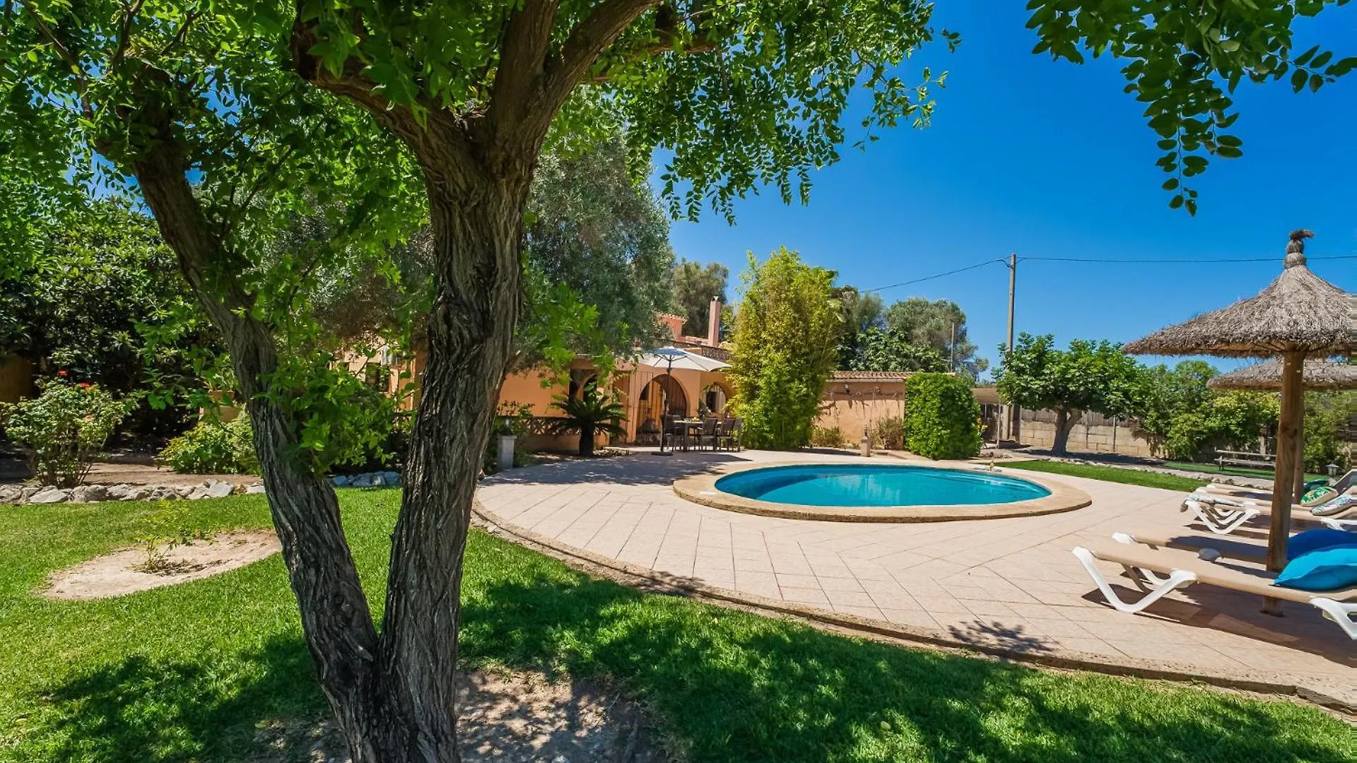 Ideal Property Mallorca - Finca Toni Alcudia