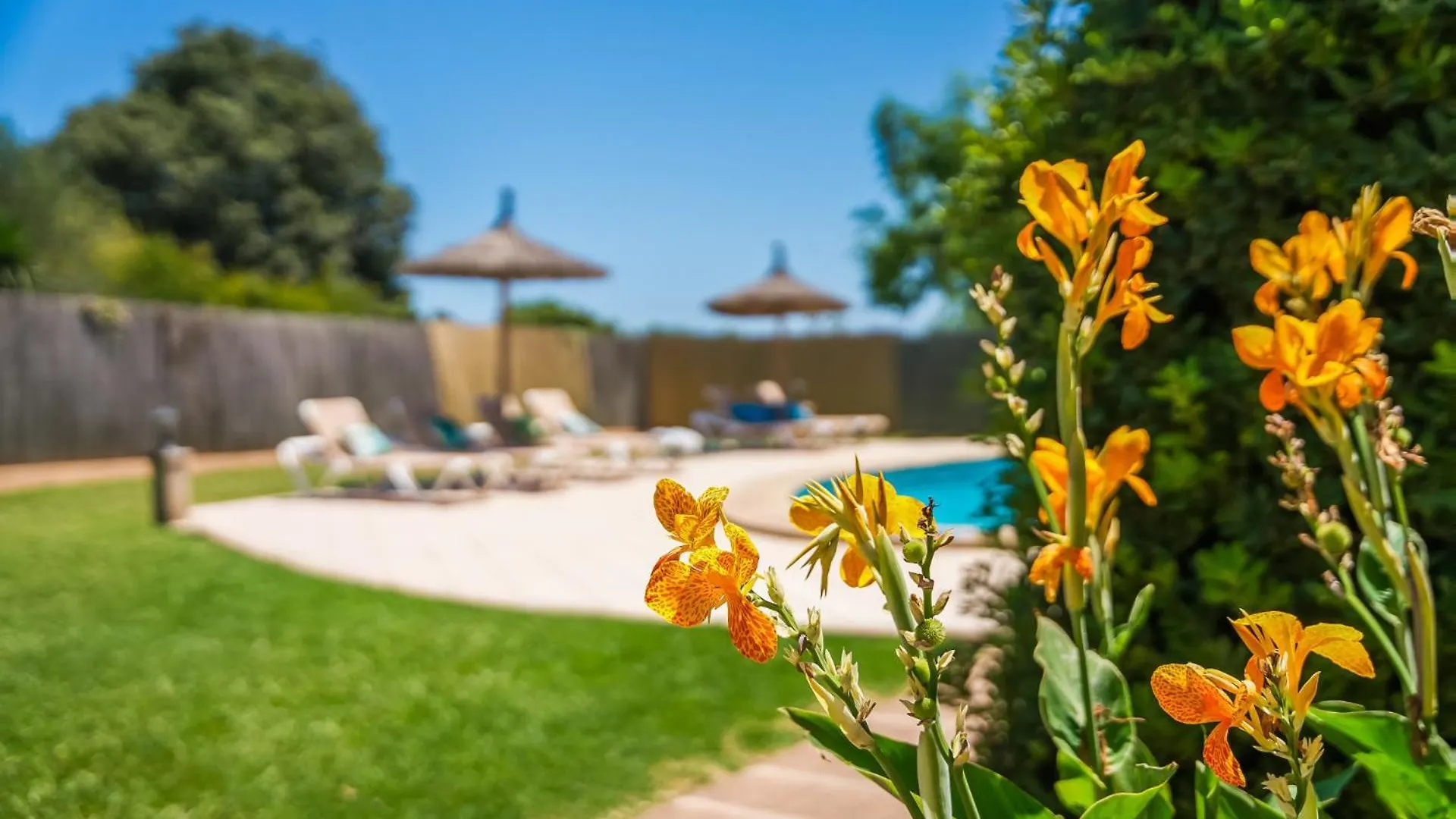 Ideal Property Mallorca - Finca Toni Alcudia  Holiday home