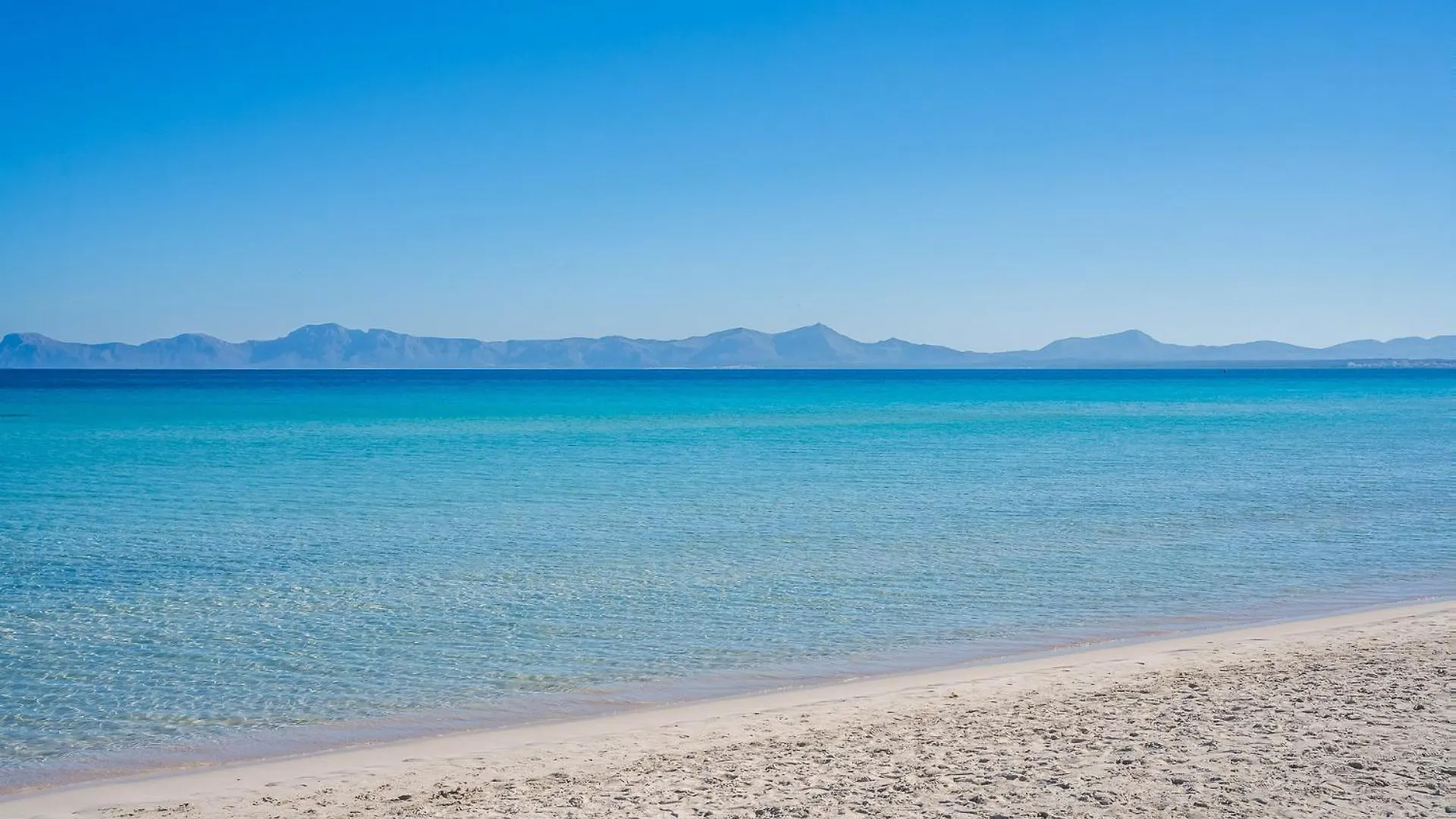 Holiday home Ideal Property Mallorca - Finca Toni Alcudia  Spain