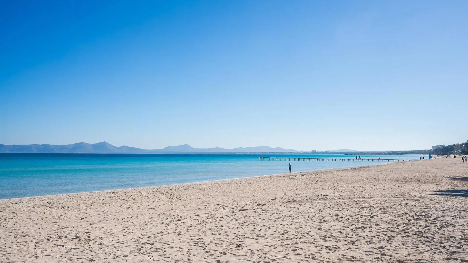 Ideal Property Mallorca - Finca Toni Alcudia  Alcudia (Mallorca)